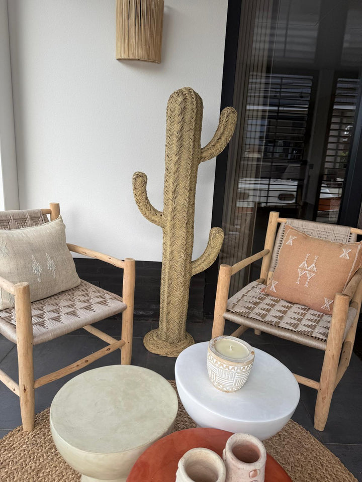Decoratieve Cactus – Boho Statement Piece